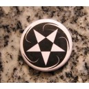 Pin APS - Logo Branco